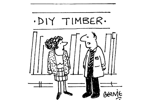 ‘It’s not called “upskirting”, madam — it’s called “architrave”.’