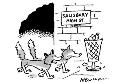 ‘On second thoughts, I’d give the bins a miss.’