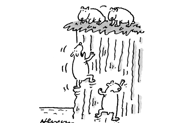 ‘Rather than the cliff edge, we decided on a climbdown.’