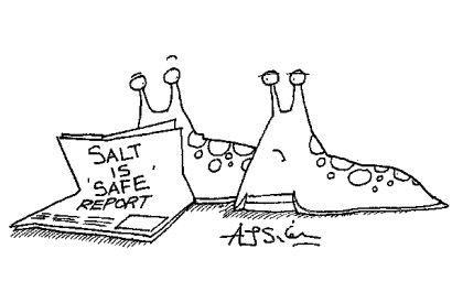 ‘A typical silly seasoning story...’