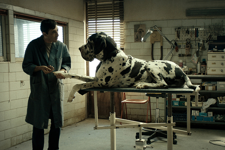 The only ones to come out of Dogman well are the dogs