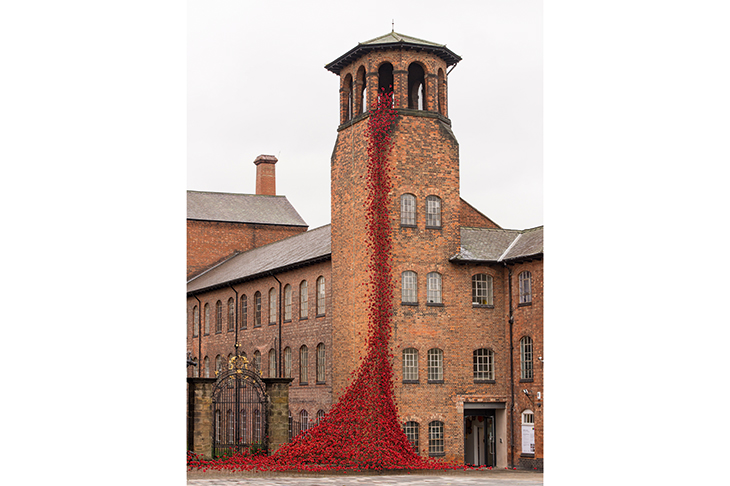 What do we learn from these poppies ‘weeping’ from a tower in Derby?