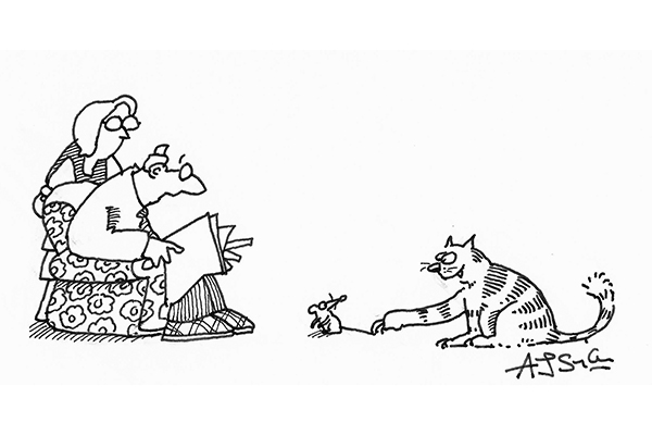 ‘The cat’s playing Brexit again…’