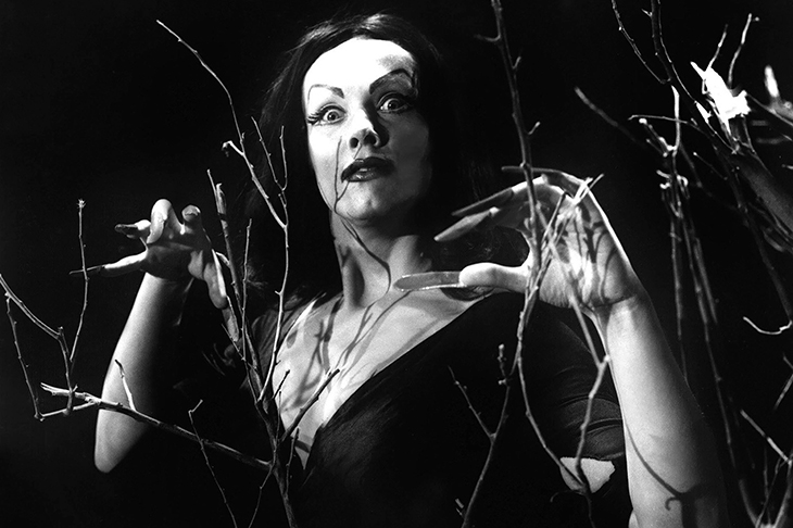 The Finnish-American actress Maila Nurmi, who created the 1950s character Vampira.