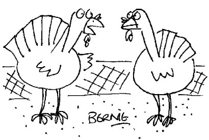 ‘If we knew the full details of Christmas, we might be inclined to vote for it.’