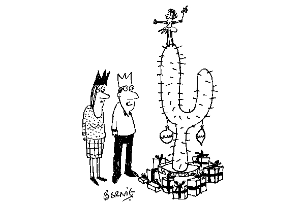 ‘The hot, dry summer has certainly affected the trees this year.’