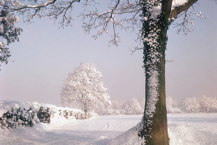 Time and Twitter seemed to stop