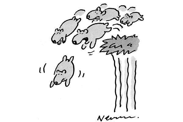 ‘So, what’s Plan B?’