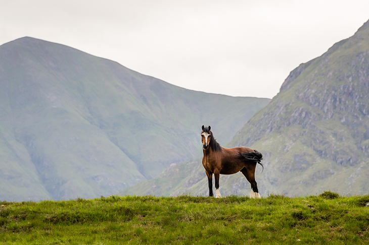 Credit: cdbrphotography