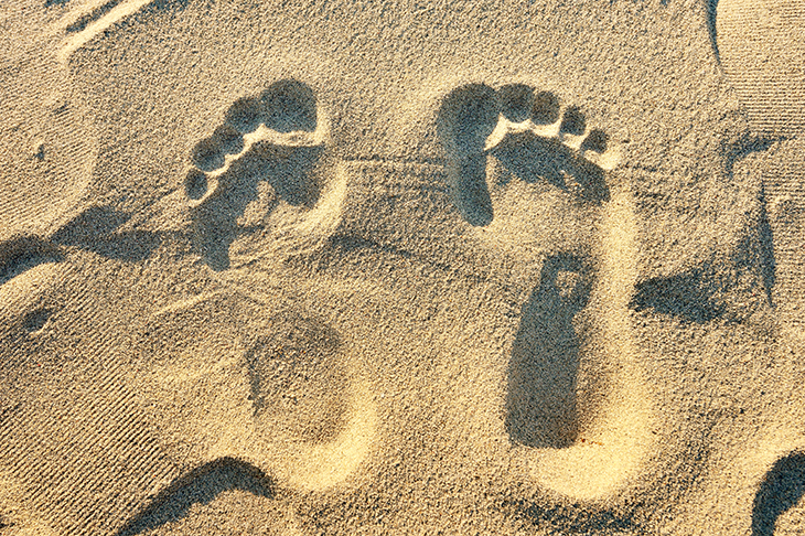 Credit: Getty Images