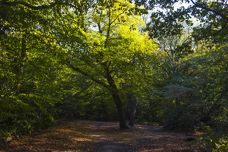 Credit: Getty Images