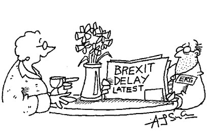 ‘Well, at least the daffodils are out.’