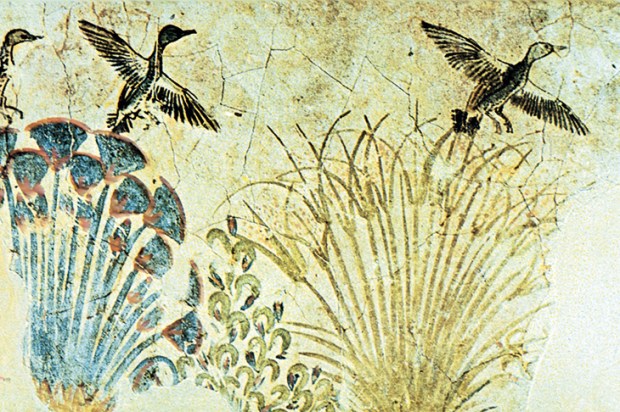 Wall painting of waterfowl flying out of the reeds, with papyrus on the left. From the tomb of Akhenaten, c. 1375 BC