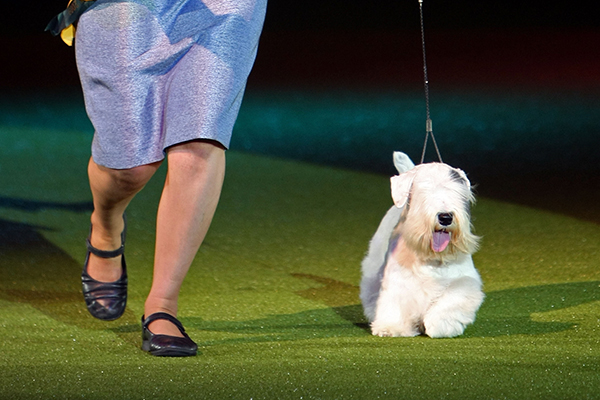 Christopher Furlong / Staff