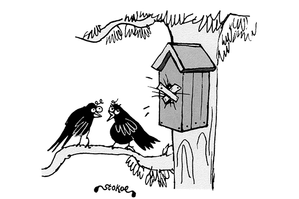 ‘He was tweeting too much so I blocked him.’