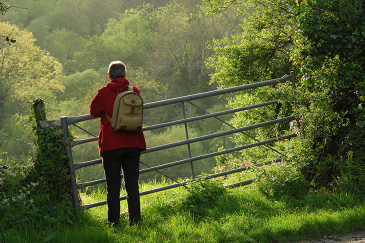 Credit: Leadinglights