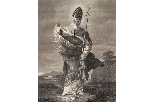 Saint Patrick, apostle of Ireland