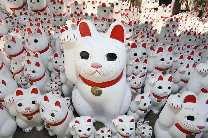 Maneki-neko at the Gotokuji Temple in Tokyo. A common Japanese talisman thought to bring good luck to its owner, the ‘welcoming cat’ is often displayed in shops, restaurants and other businesses