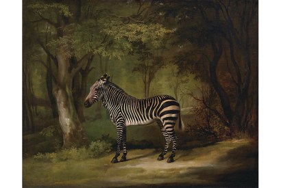 The eyes have it: ‘The Zebra’, 1763, by George Stubbs