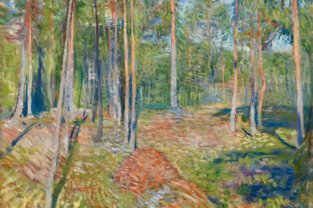 Into the woods: for the Oslo exhibition, Knausgaard chose to fill a whole section with Munch’s paintings of trees. ‘Pine Forest’ (1891–92)