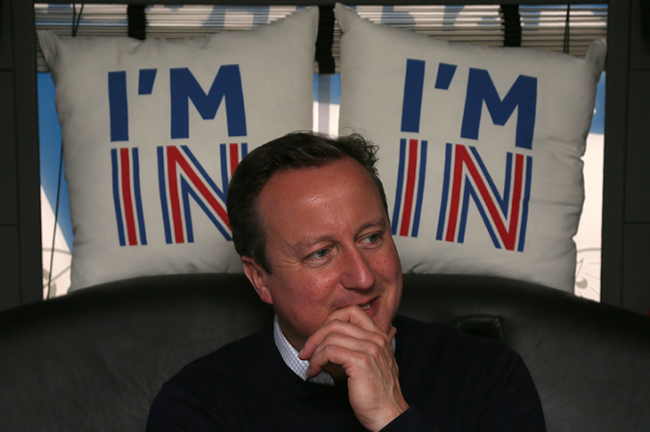 David Cameron campaigning on the day before the June 2016 referendum (Getty)