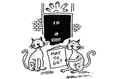 ‘Fickle, selfish and cruel — but that’s politicians for you.’