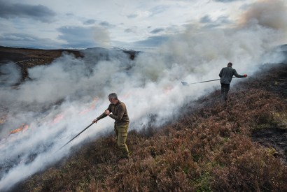 Gamekeepers burn heather to encourage new growth for red grouse to feed on (Getty)