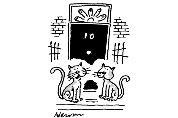 ‘With Boris, is it nine lives or nine wives?’