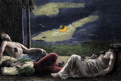 Vampire bats, like succubi, prey on sleeping men at full moon in a 19th-century engraving