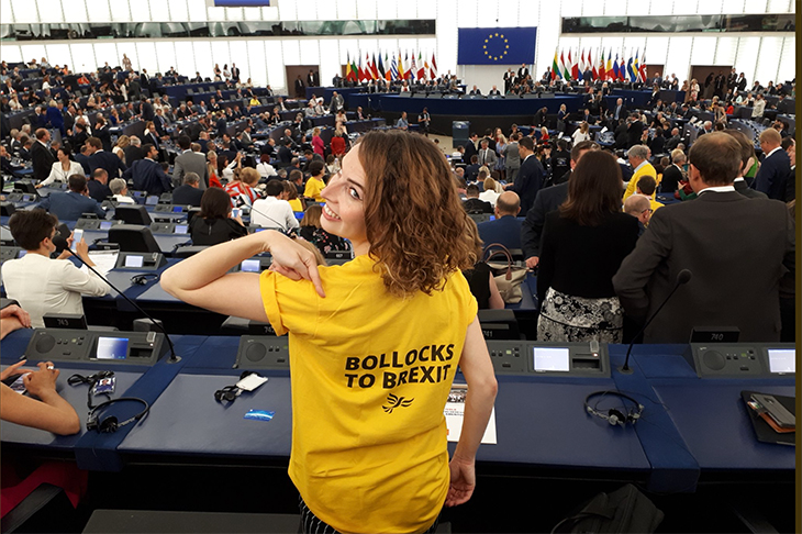 Lib Dem MEP Luisa Porritt in the European Parliament last week (Twitter)