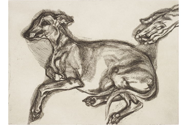Going to the dogs: ‘Pluto Aged 12’, 2000, by Lucian Freud
