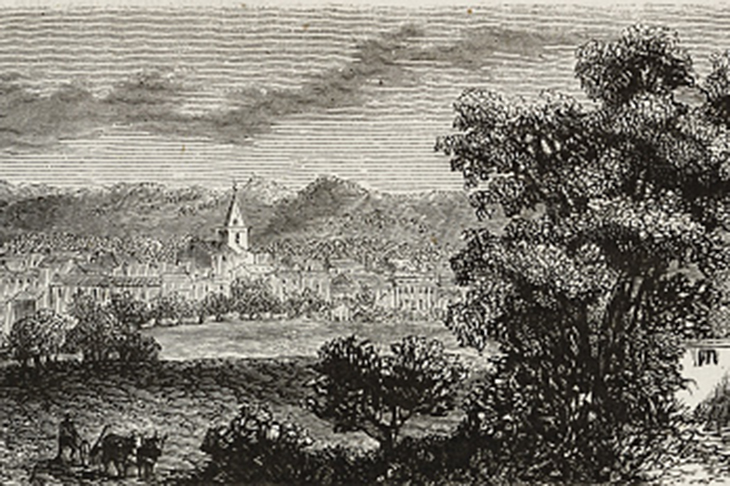 Within 24 hours of my positive diagnosis I was back with Catriona in beautiful Brignoles (illustration, 1873)