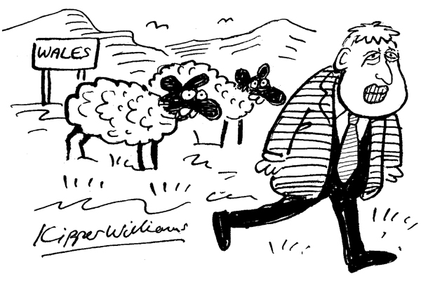 ‘He looks weird since they had him shorn.’