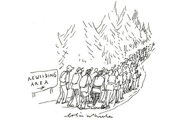Rewilding Cartoon Rewilding | The Spectator Australia