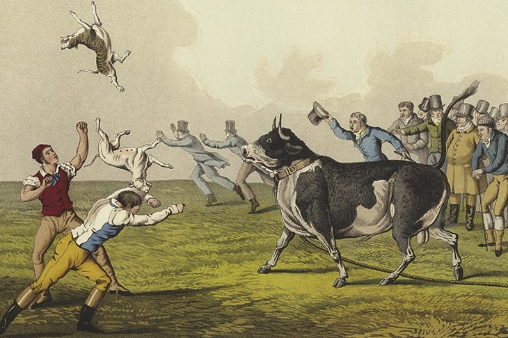 John Bull At Play The Spectator Australia John Bull At Play The Spectator Australia