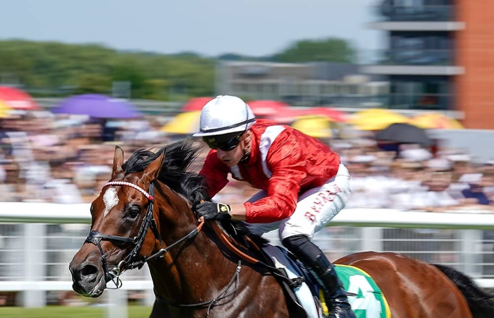 Jay Riddell Turf The turf | The Spectator Australia