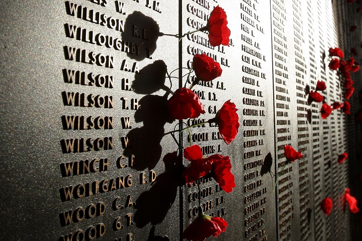 Alan Jones: ANZAC Day's true reality and the forgotten message - Vimarsana News