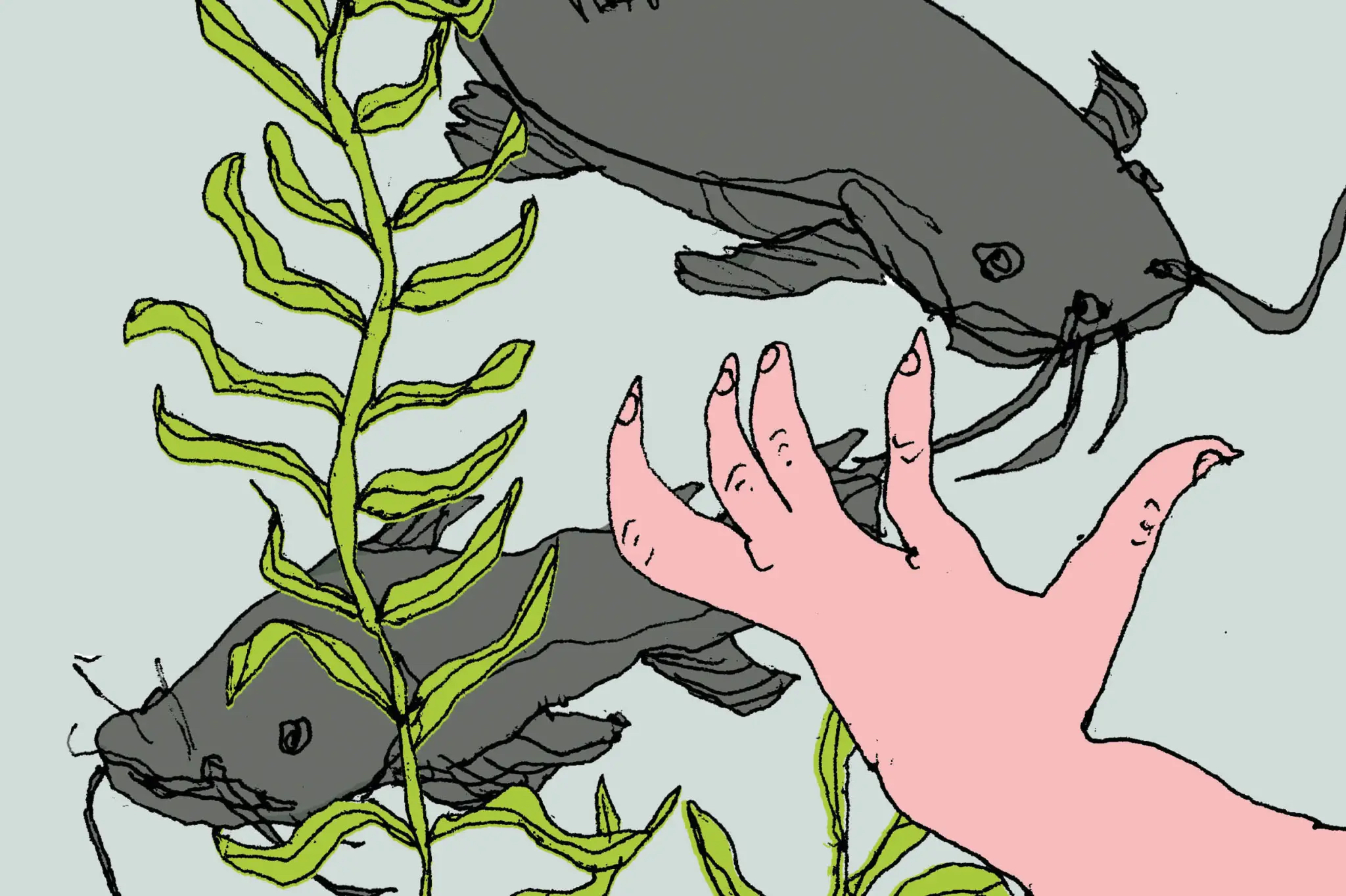 A beginner’s guide to noodling The Spectator Australia