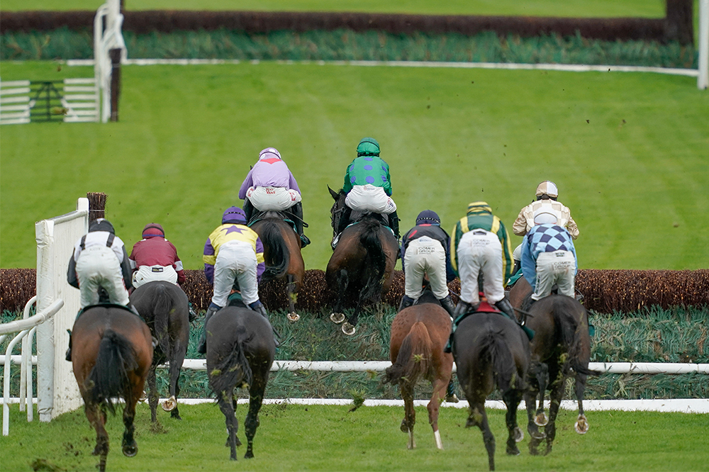 The joy of jump-racing | The Spectator Australia