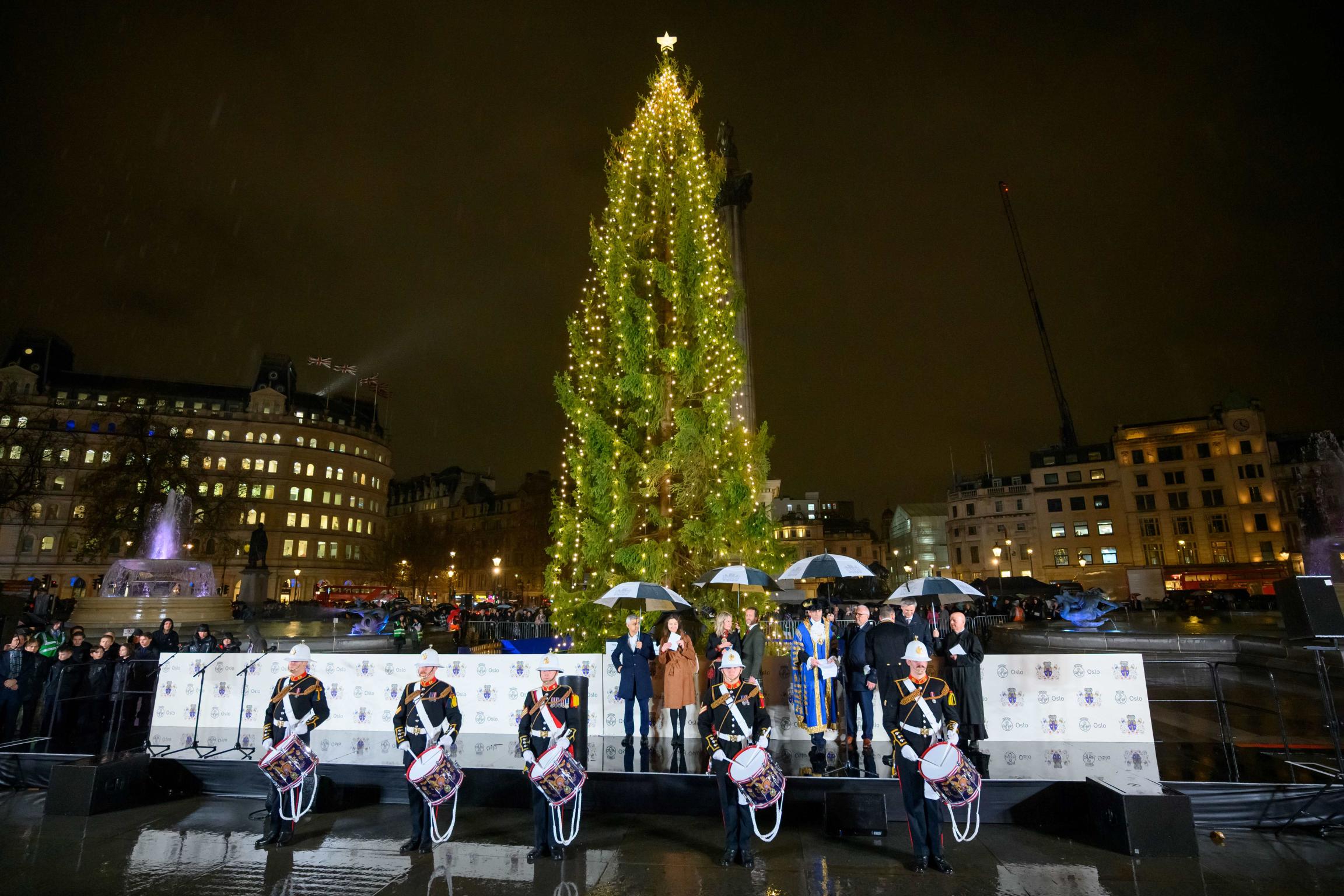 The Trafalgar Square Christmas tree is a truly sorry sight | The