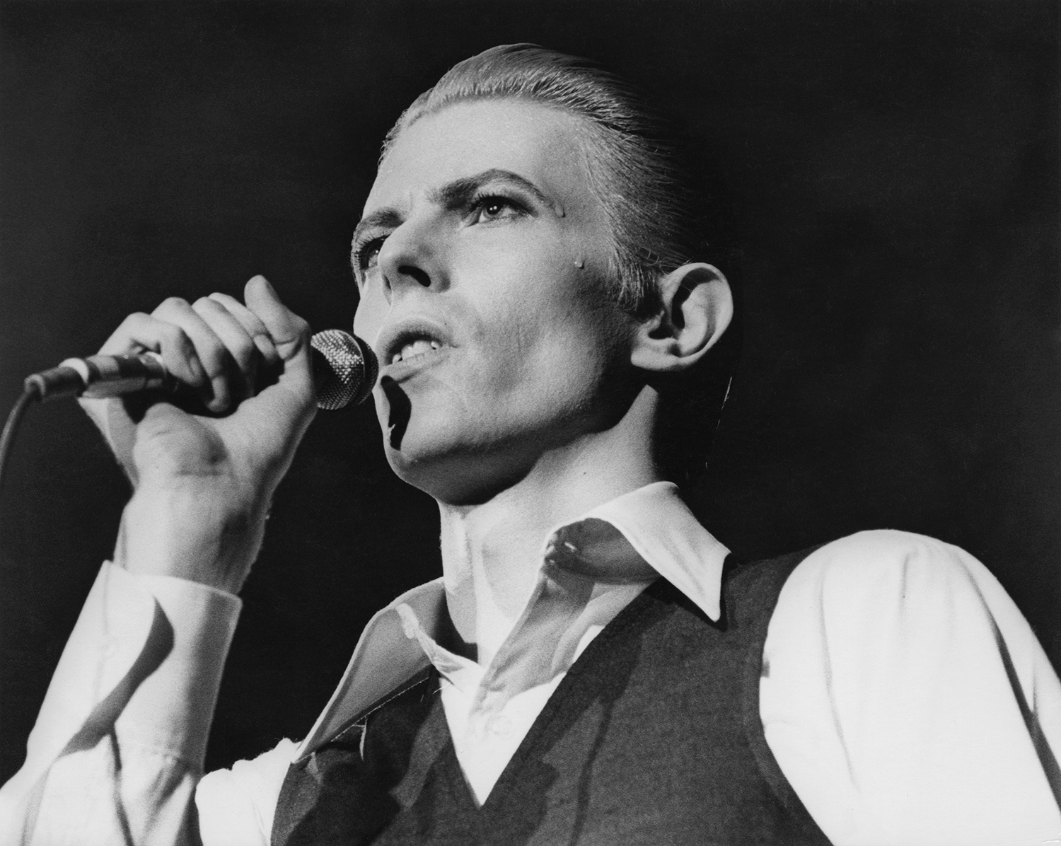Kate Moss's new Bowie podcast is far too safe | The Spectator Australia