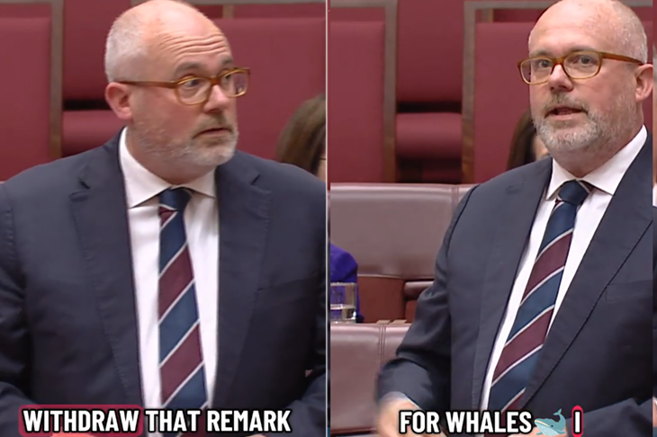 Poor taste… Senator Ayres cracks jokes about the energy crisis