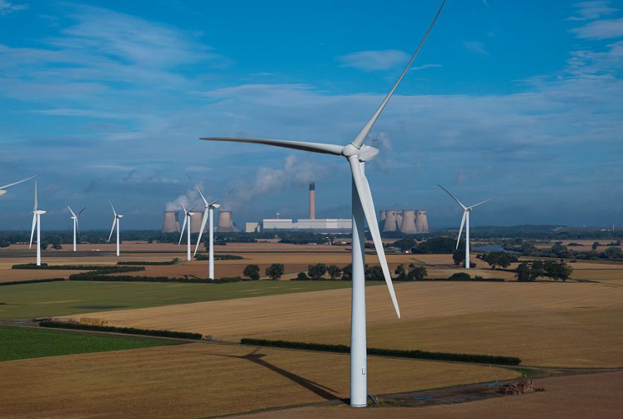 Wind Bat Bats are paying the ultimate price for our wind turbine obsession | The ...