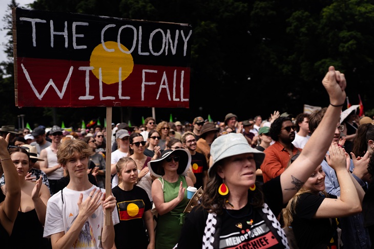 Flag-burning justifies audits of funding for activist groups