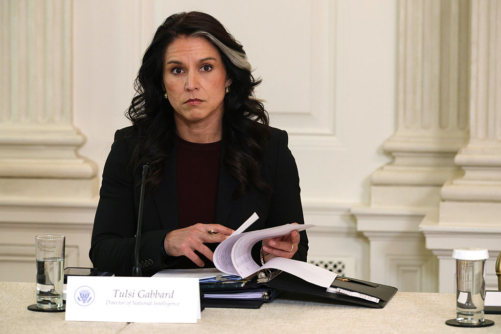 Gabbard 2028, anyone? | The Spectator Australia