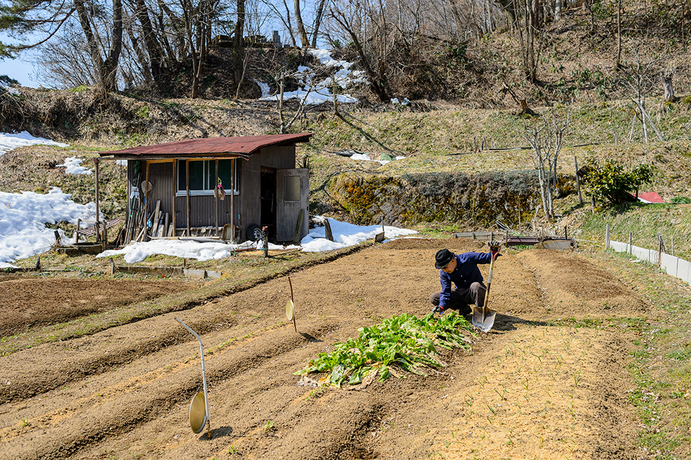The two faces of modern Japan