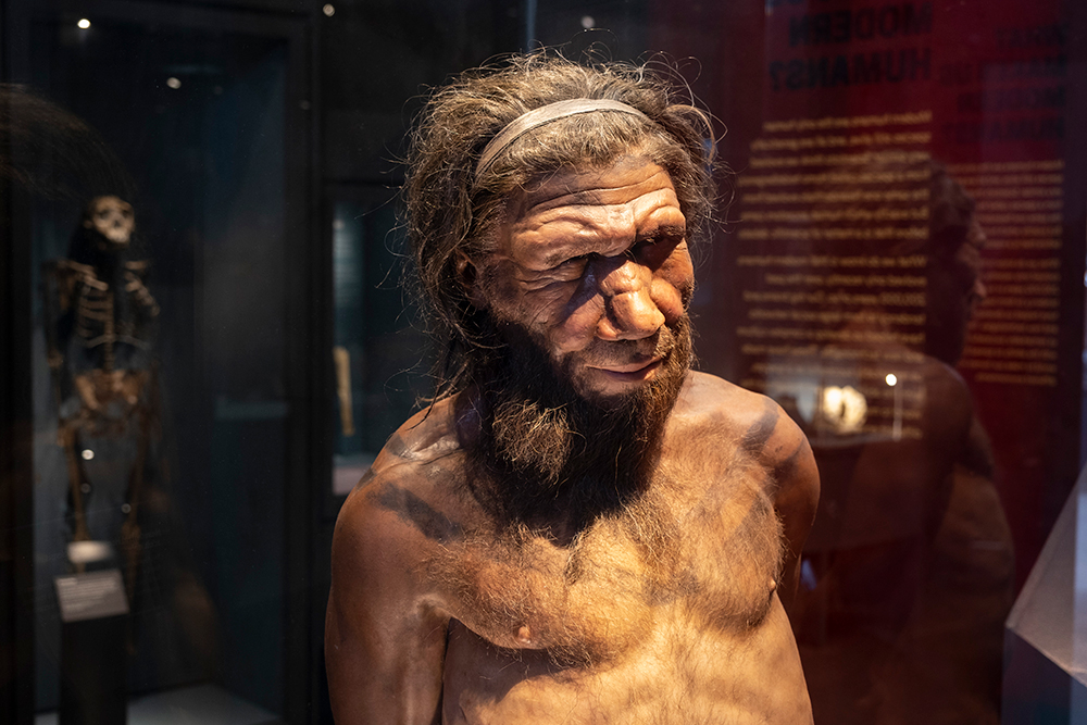 Who wants to bring back the Neanderthals?