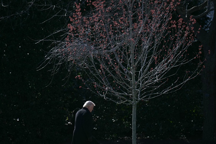 What does Australia expect to gain by snubbing Trump?