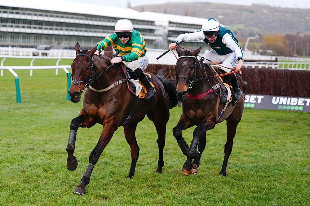 The sword of Damocles is hanging over Cheltenham