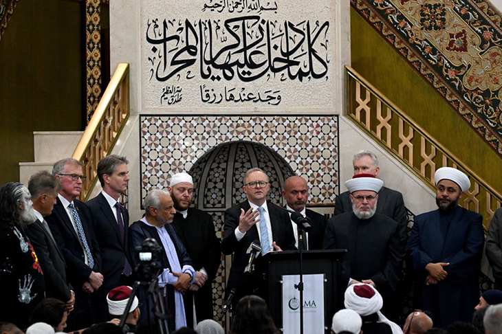 Lawson, Lakemba and Labor